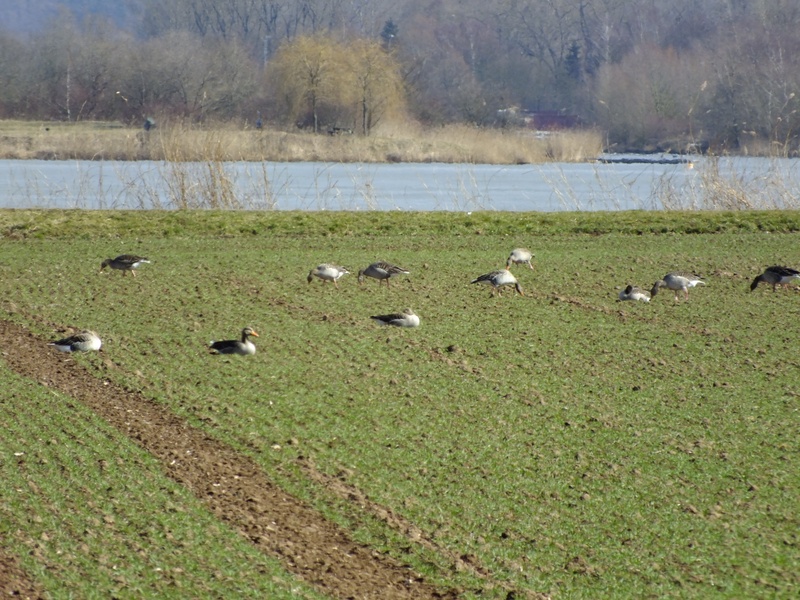 DSCF8072.JPG