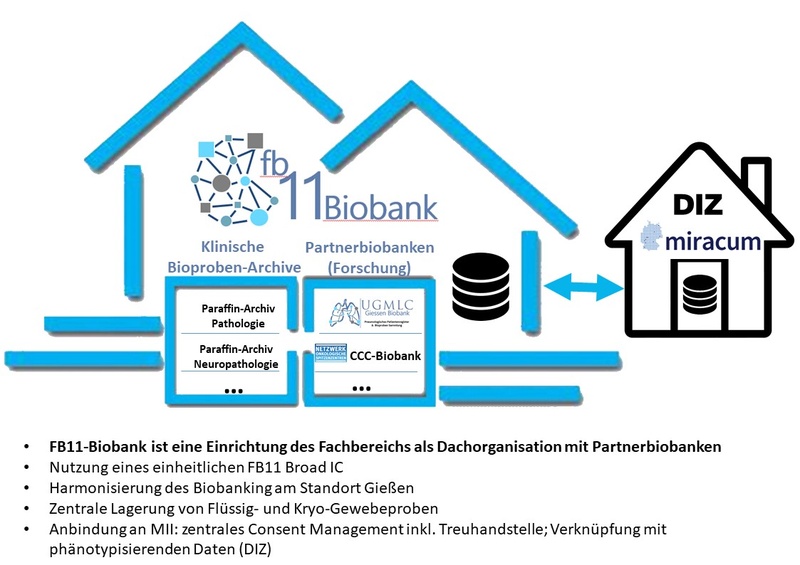 Struktur FB11-Biobank1.jpg
