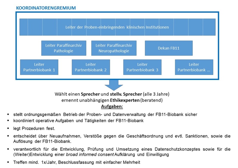 Struktur FB11-Biobank2.jpg