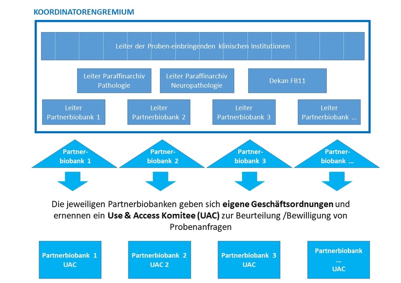 Struktur FB11-Biobank3.jpg