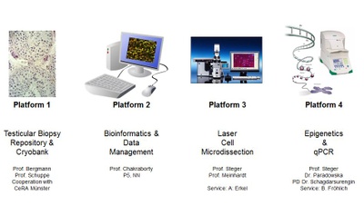 platform Prj Z platform Prj Z