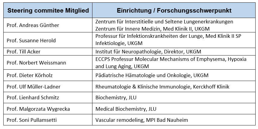 steering-committee.text.image1