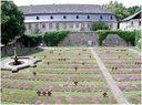 arnsburg_06.jpg