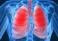 lung.jpg
