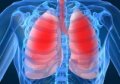 lung.jpg
