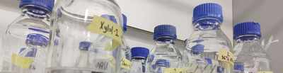Bottles