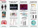 Graphical abstract A09-1.jpg