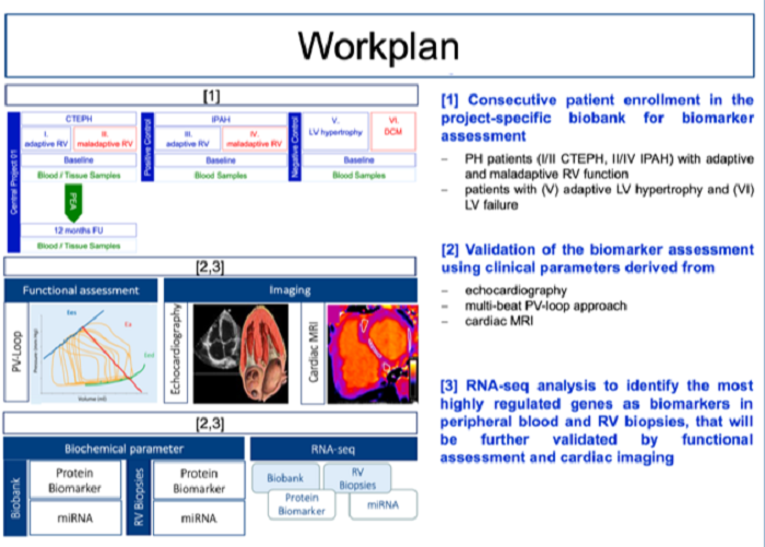 Graphical abstracts B07-2.png