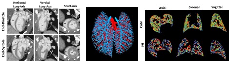 CP02 pic 3.jpg