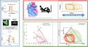 Graphical abstract B08web.jpg