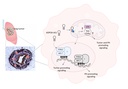 A10NFigure_Project Summary_modified[1].jpeg