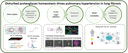 A11Bild1.png
