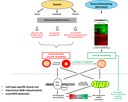 A06 figure 3