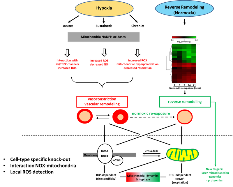 A06 figure 3