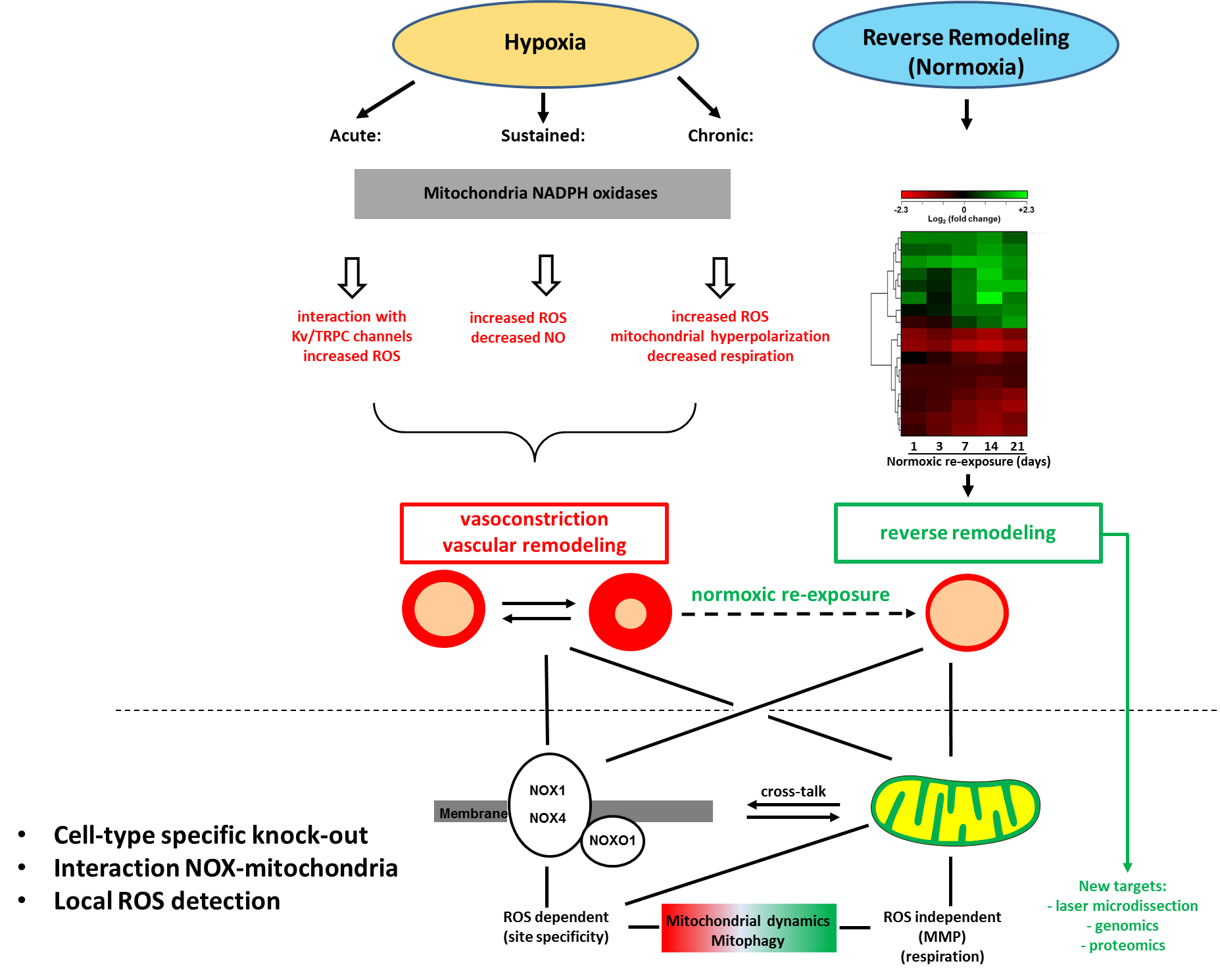 A06 figure 3