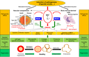A07 figure 1