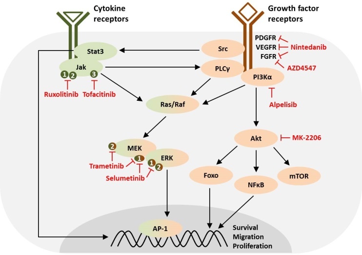 A08 figure 3