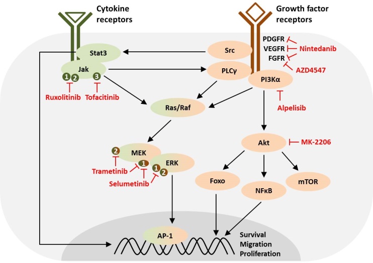 A08 figure 3