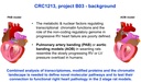 B03 figure 1