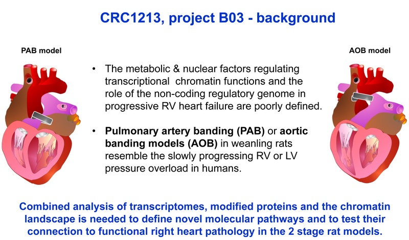 B03 figure 1