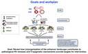 B03 figure 2