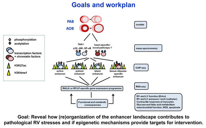 B03 figure 2