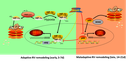 B04 figure 1