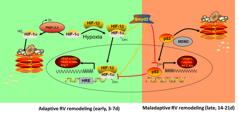 B04 figure 1