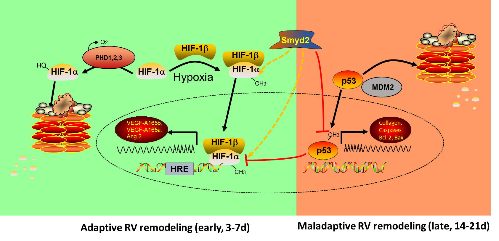 B04 figure 1