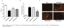 B08 figure 1