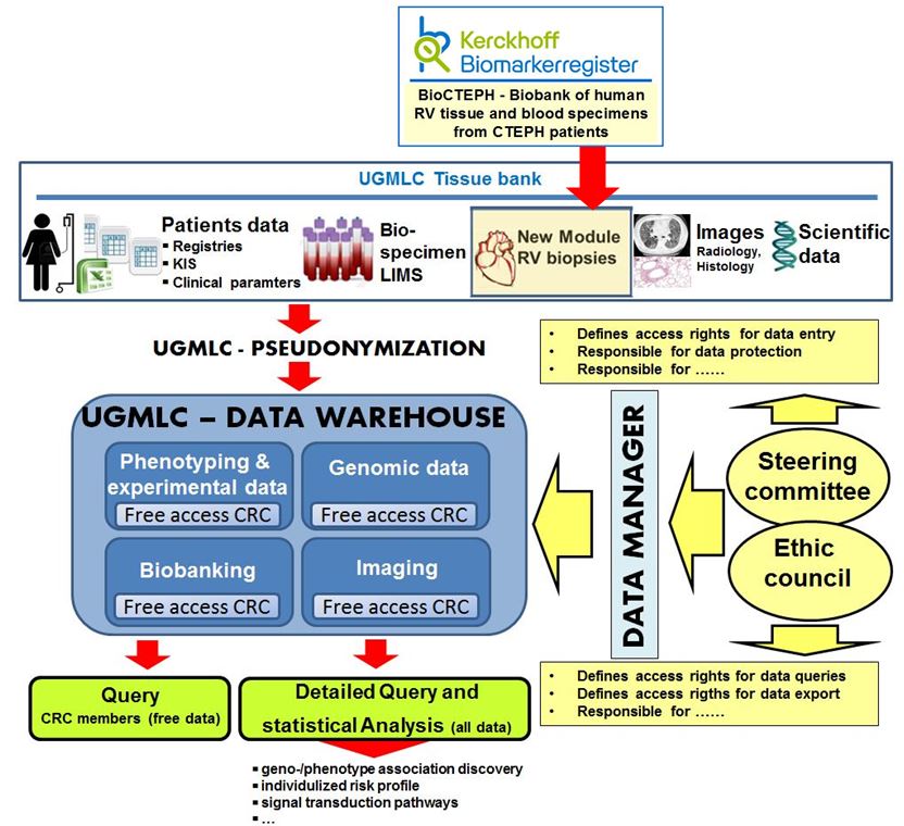 CP01 figure 1