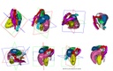 CP02 figure 3
