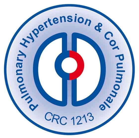 CRC 1213 Logo
