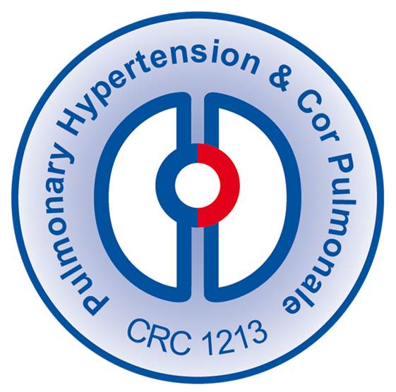 CRC 1213 Logo