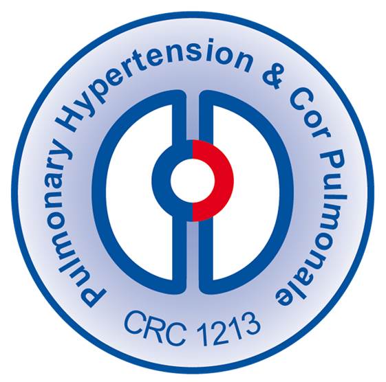 CRC 1213 Logo