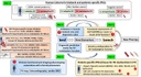 Overview figure B07CRC1213.jpg