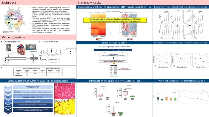 graphical abstract CP01_CL.jpg