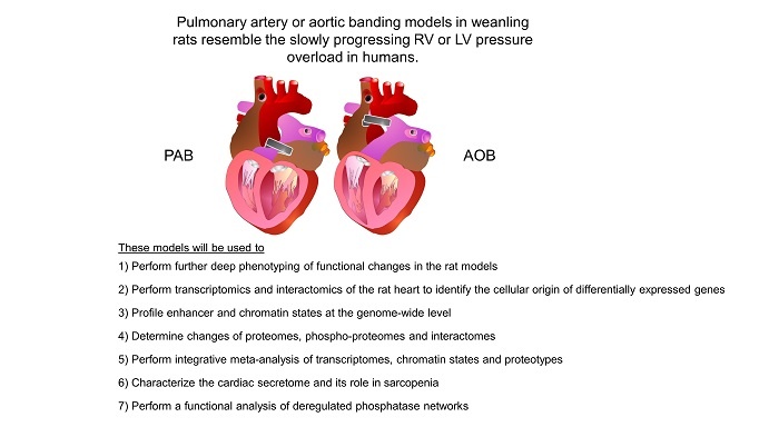 Graphical abstract B03web.jpg