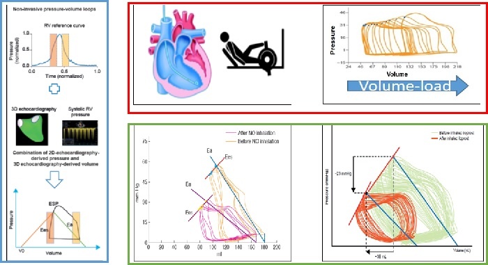Graphical abstract B08web.jpg