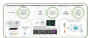 A11Bild1.png