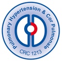 CRC 1213 Logo