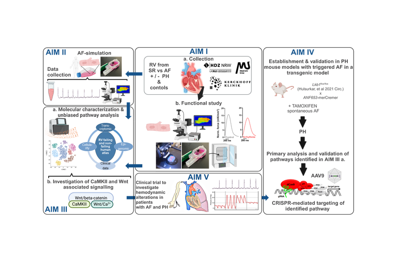 Schema B10N.png