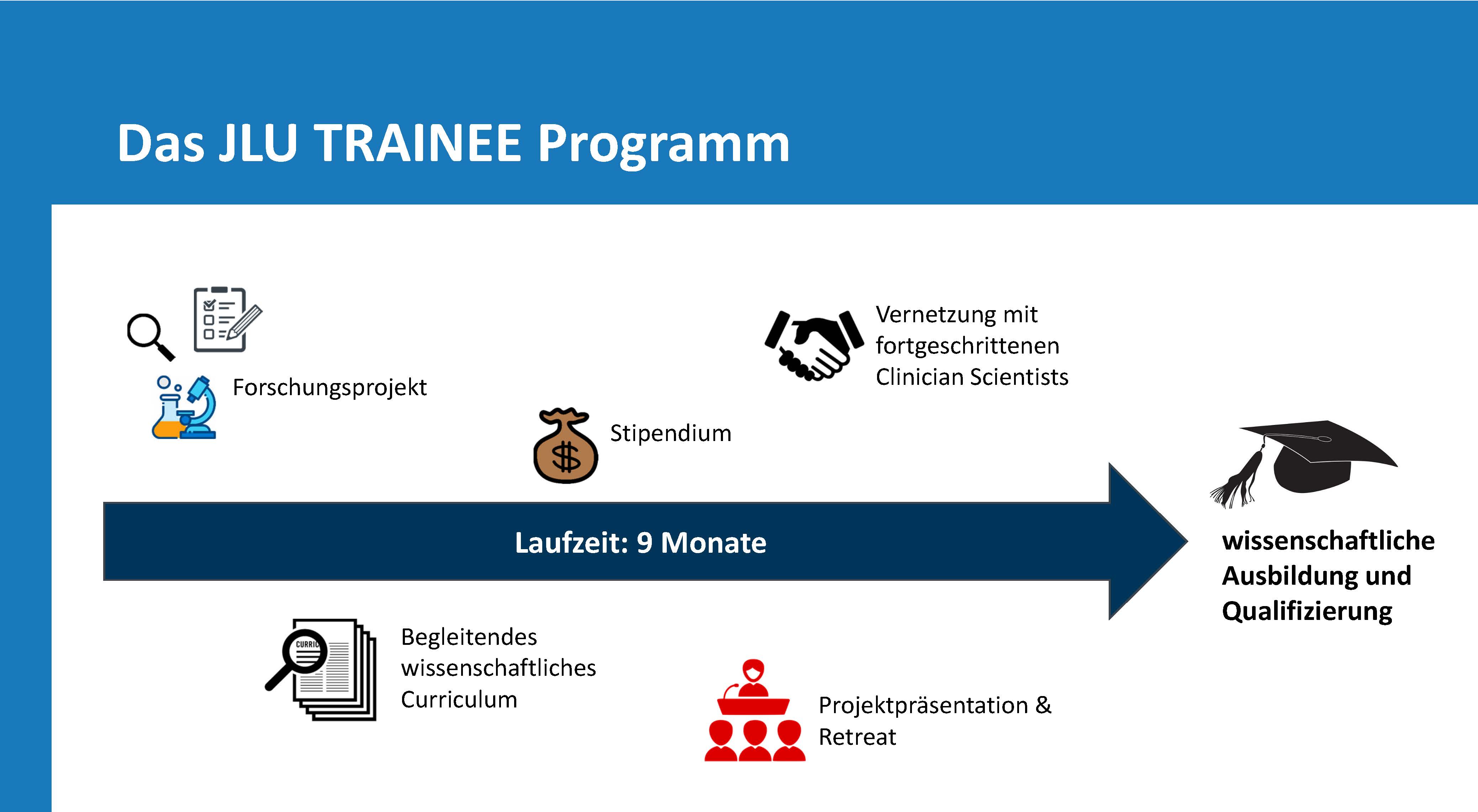 TRAINEE Programm Grafik