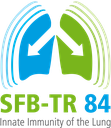 SFB-TR84