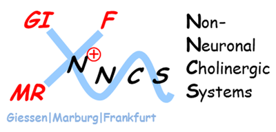 Logo NNCS Logo NNCS