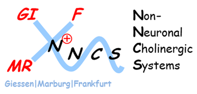 Logo NNCS