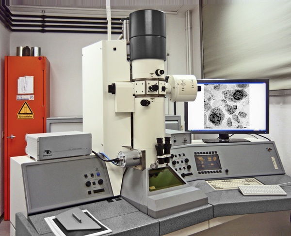 5_TEM_Leo_EM_906.jpg ...