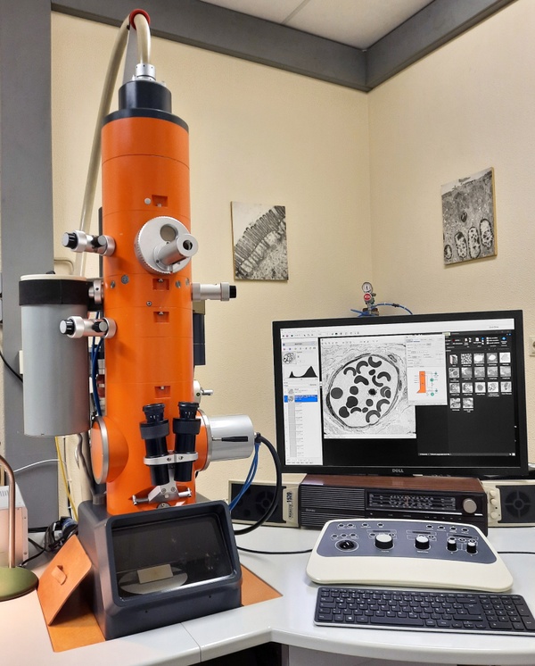 6_TEM_Zeiss_EM_900EL.jpg ...