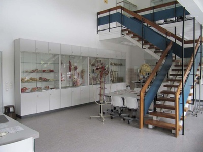Blick in den Studiensaal Blick in den Studiensaal