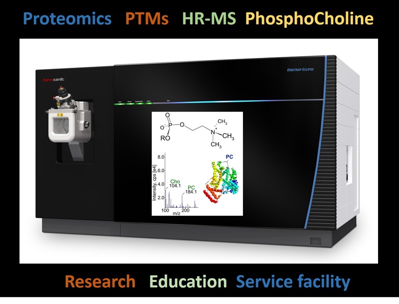 ag lochnit proteomics